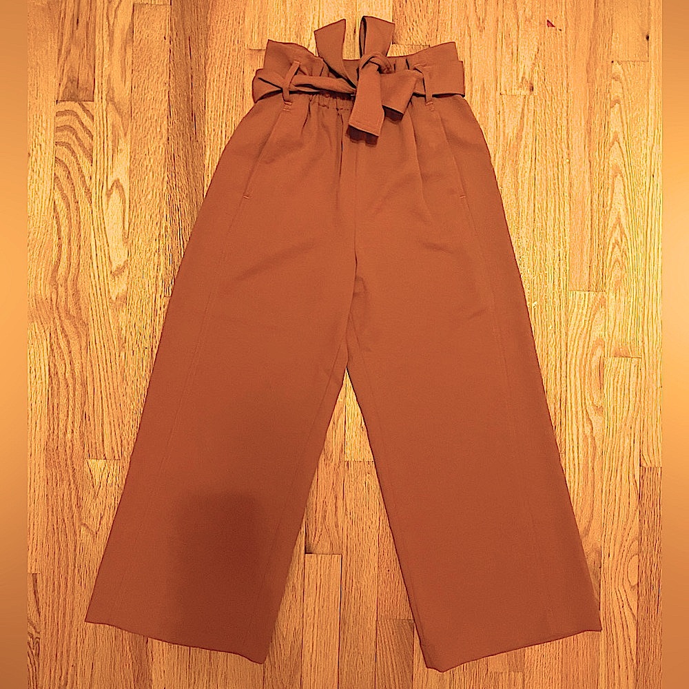 Aritzia Wilfred Free Pants In Rust - image 2